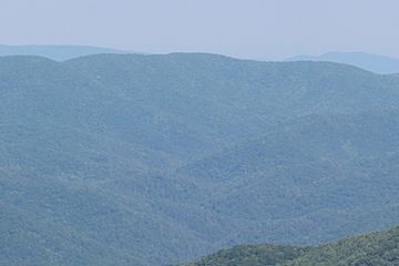 Brasstown Bald view looking towards Young Lick, May 2019 (cropped).jpg