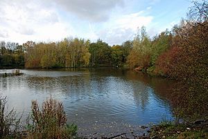 Bumble Hole Conservation Area - geograph.org.uk - 1569000