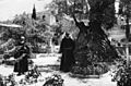 Bundesarchiv Bild 146-2007-0203, Jerusalem, Garten Gethsermane, Ölbaum