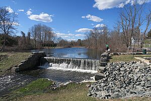 Butterfly Pond, Lincoln RI