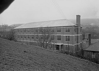Cambrian Woollen Mill, Llanwrtyd (1294049)