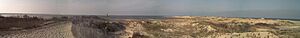 Cape Henlopen at the Point