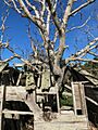 Carkeek Observatory MRD 09