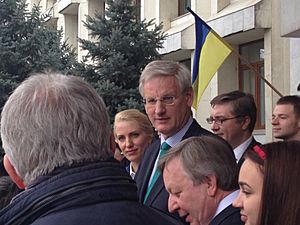 Carl Bildt in IIR 2