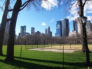 Central Park Jan 07