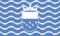 County Flag of West Sussex (variant)