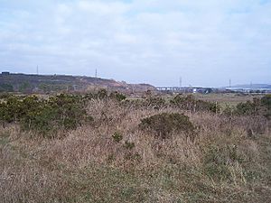 Crymlyn Burrows - geograph.org.uk - 117768