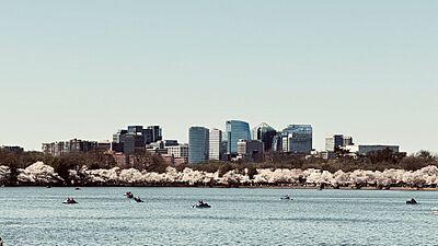 Crystal City skyline