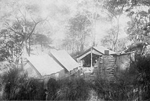 Curlew Camp before 1900