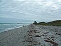 Dania Beach FL John U. Lloyd SP beach south01