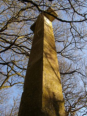 Deadmans Plack Monument, Harewood Forest - geograph.org.uk - 147465