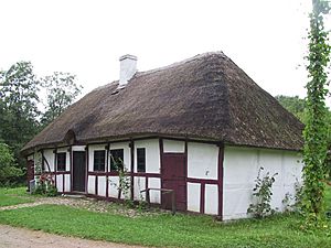 Denmark-odense-fynske landsby-house