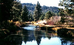 Drews Creek, Fremont National Forest, Oregon