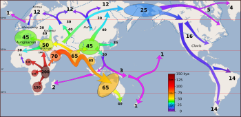 Early migrations mercator