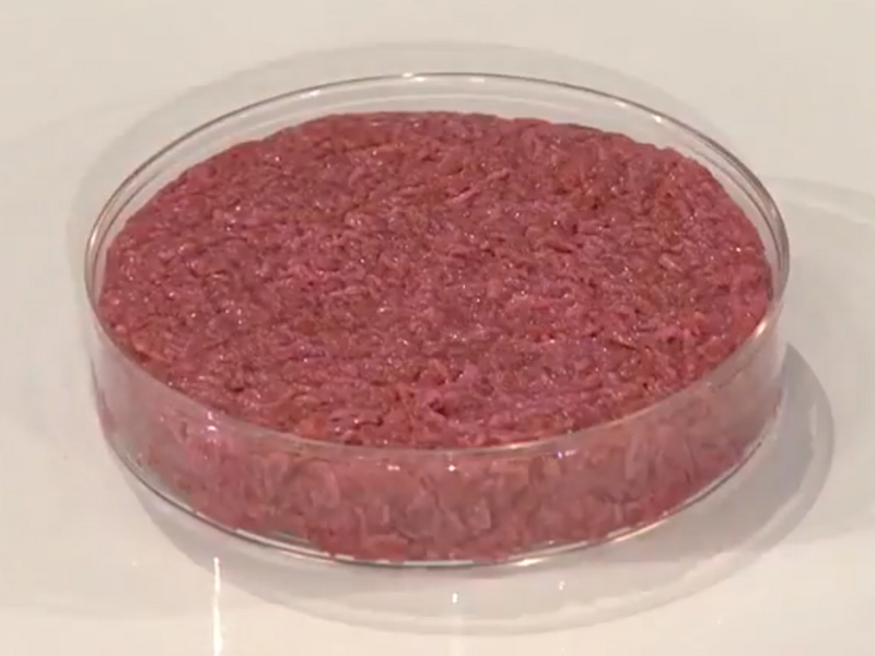 First cultured hamburger unfried
