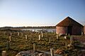 Fiskerton Fen Nature Reserve - geograph.org.uk - 319386