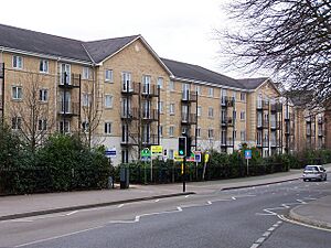 Flats on site of "The Dell" football stadium - geograph.org.uk - 1706394