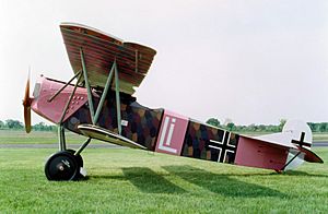Fokker D. VII USAF