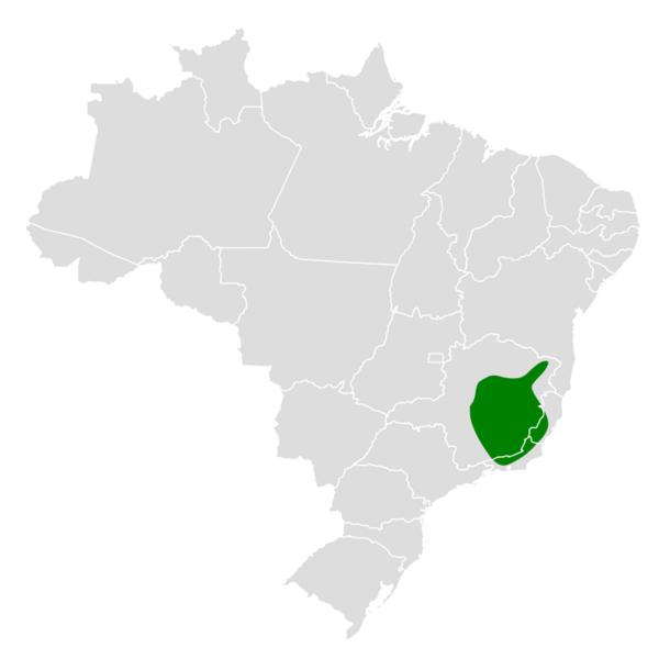 Formicivora serrana map