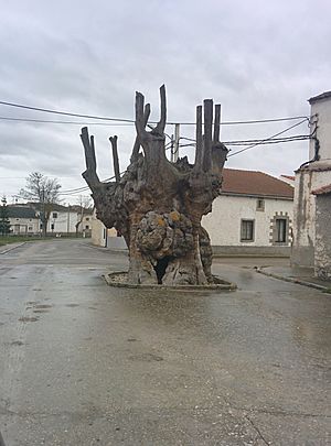 The Giant Old Elm, a cultural symbol of Frumales