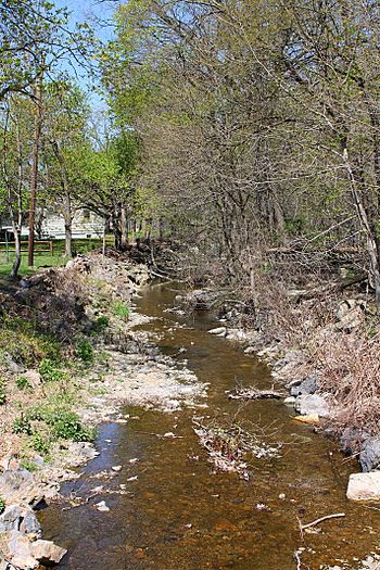 Glade Run looking downstream.jpg