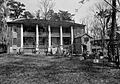 Gloucester near Natchez