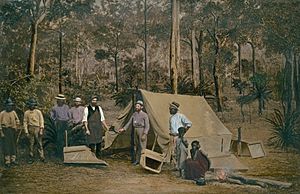 Gold diggers Queensland