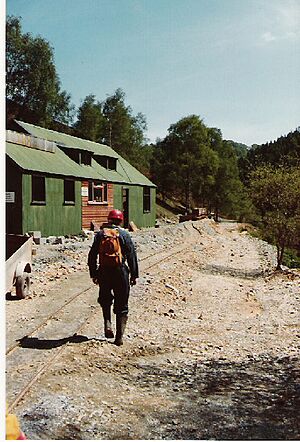 Gwynfynydd Gold Mine - geograph.org.uk - 74826