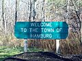 Hamburg NY Welcome sign Nov 10