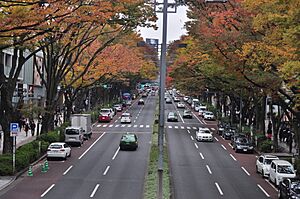 Harajuku - Omotesando 01 (15555117880)
