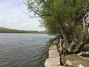 HurdSP IMG 0250