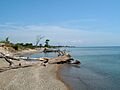 Illinois Beach State Park Lakefront