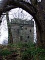 Inverkip Castle - geograph.org.uk - 1192136