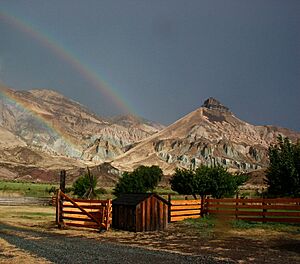 Joda sheeprockrainbow
