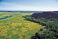 Kakadu 1752