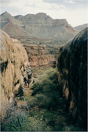 Kanab canyon