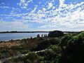 Lake Richmond, June 2019, Image 5