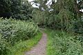Lexden Park 5