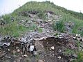 MInkIslandSite