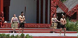 Maori Greeting 3 (31137744084)