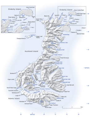 Map of Auckland Islands