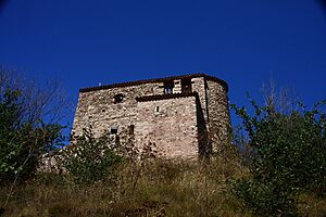 MareDeuEcologia-Gallifa-7705