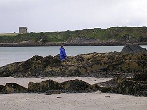 Martello Tower and South Cliff Face - geograph.org.uk - 491109