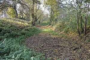Mowsbury Hill 5