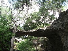 Natural Bridge Caverns - Enterance