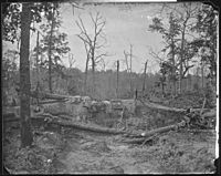 Black and white photo shows a pile of logs and earth in a forest.