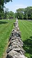 Northward along the Indian Run Cemetery Stone Walls