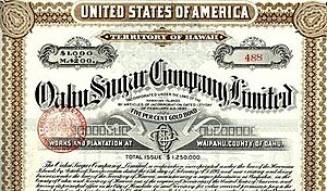 Oahu Sugar Co Gold Bond 