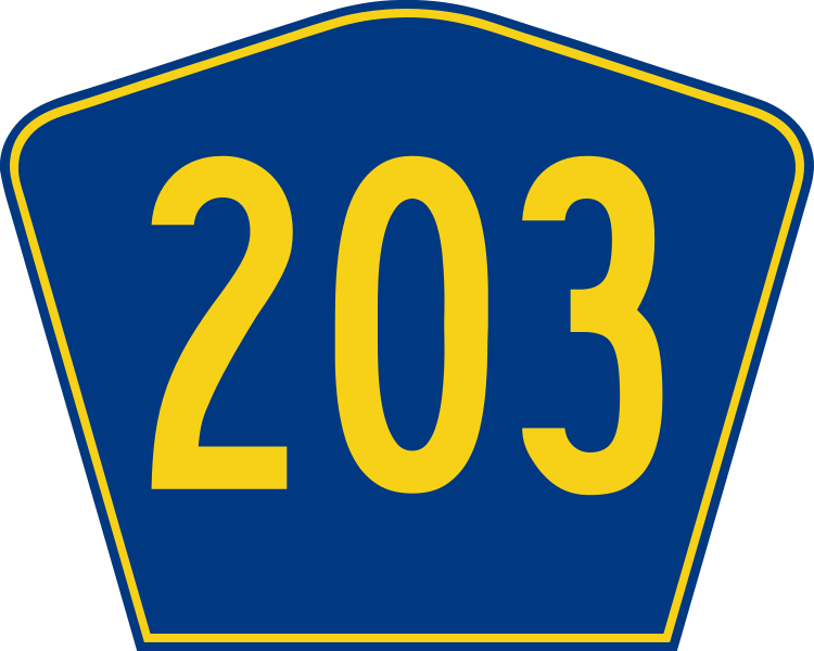 PR secondary 203