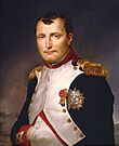 Painting of Napoleon Bonaparte by Jacques-Louis David, 1813.jpg